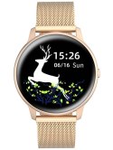 SMARTWATCH G. Rossi SW015-4 rosegold (zg326d)